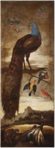 Sinibaldo Scorza (1589-1631) Favole e natura all'alba del Barocco