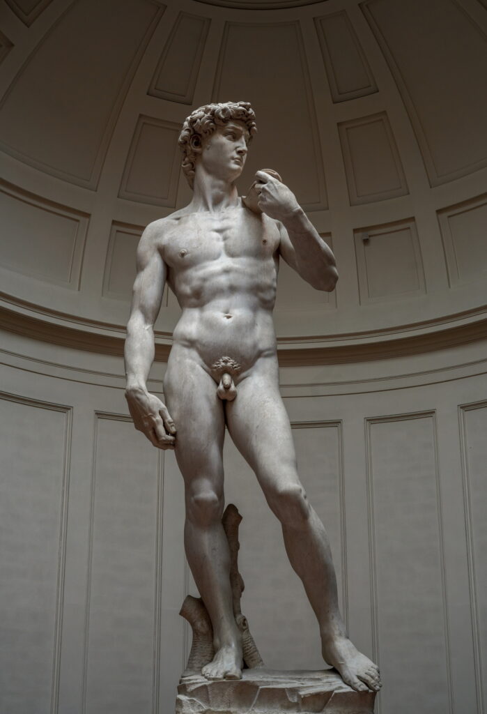 Il David di Michelangelo